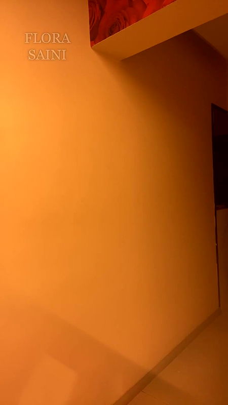 720p 11 june live flora saini