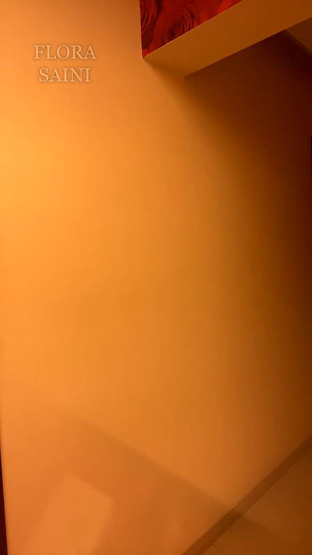 720p 11 june live flora saini