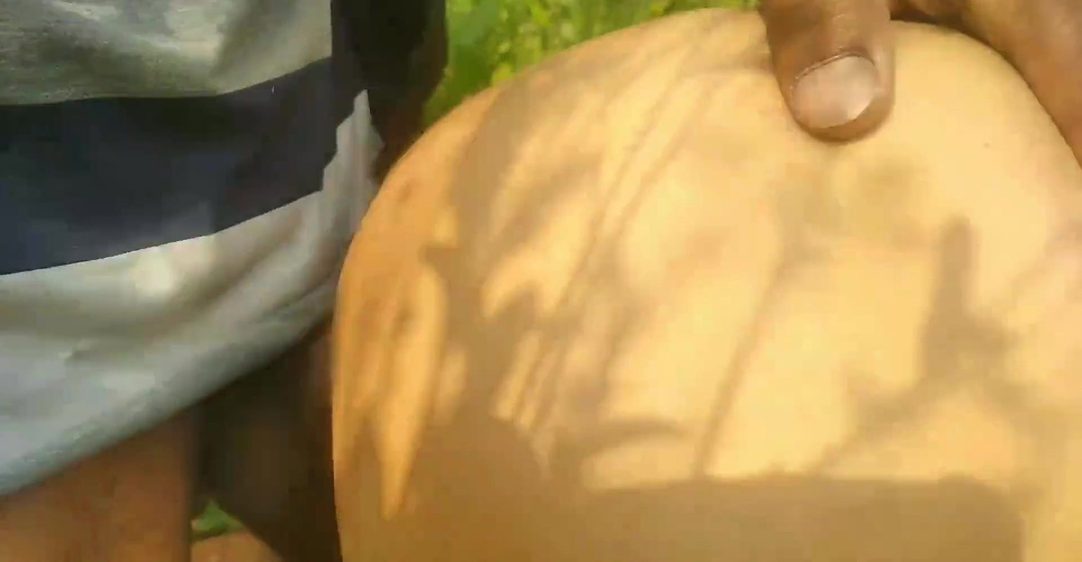 Asma said or Jor Jor Se Chodo , bahut mja aa rha h