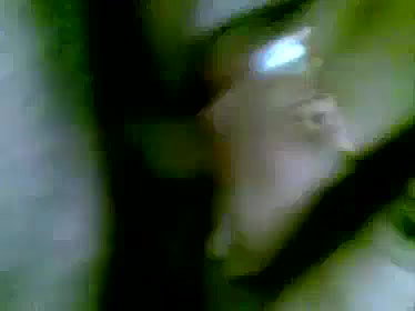 Sari wali cute bhabhi fucking