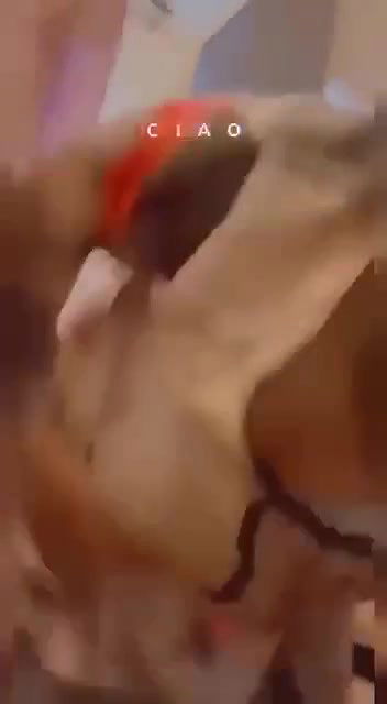 Beautiful Paki Babe Showing