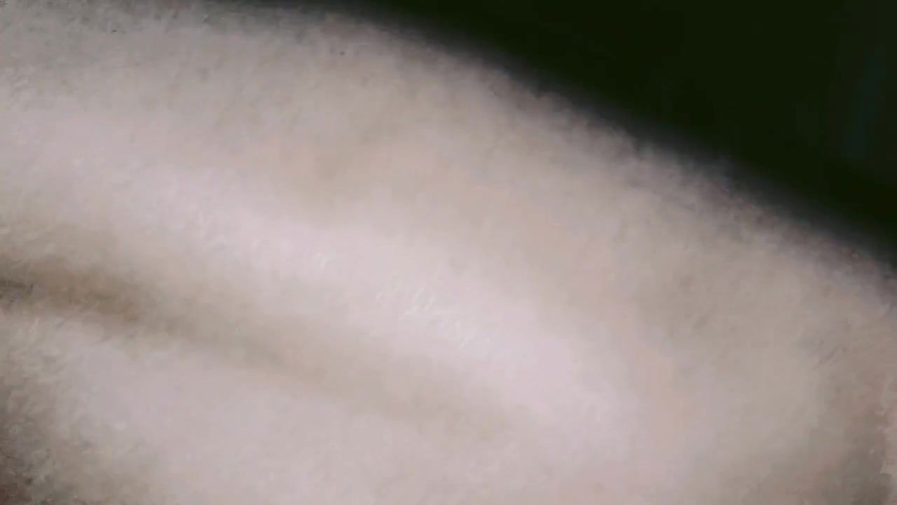 horny stepsister hard fuck stepbrother