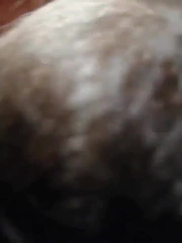 Desi girlfriend fuck wid Hindi audio