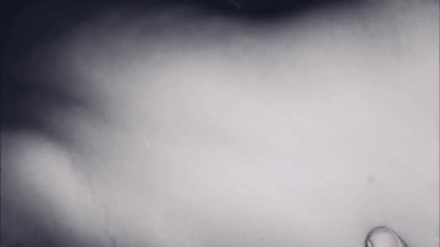 latika take hard core doggy style horror stepsister show