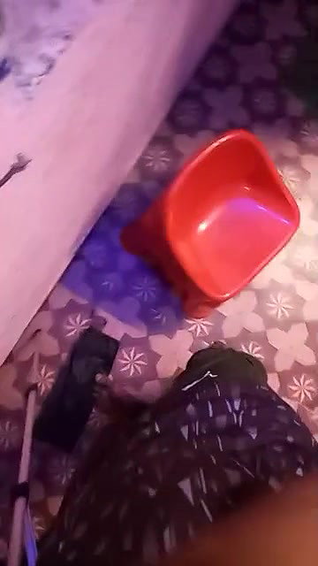 Renu Couple live show