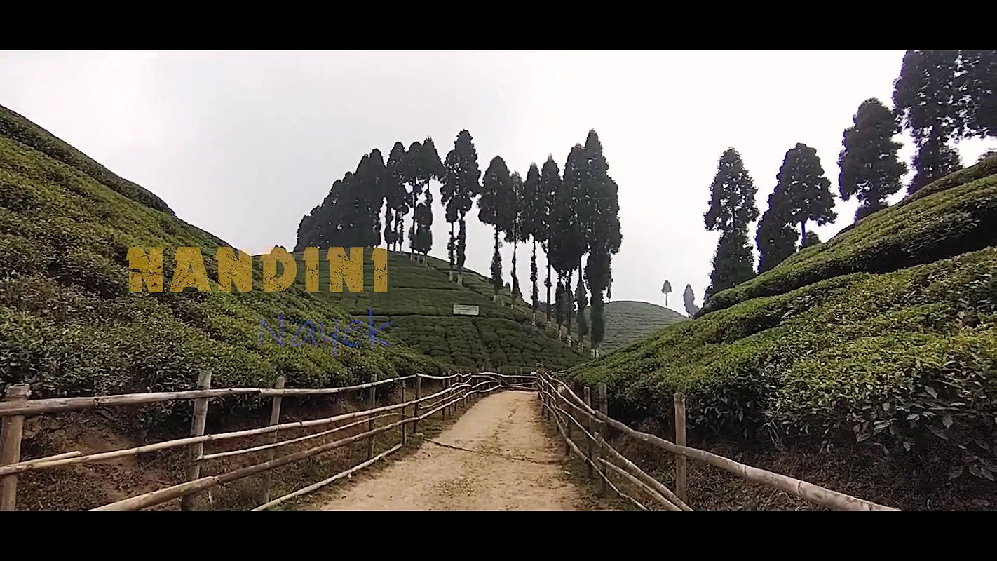 Youtuber JP Studio membership collection -25