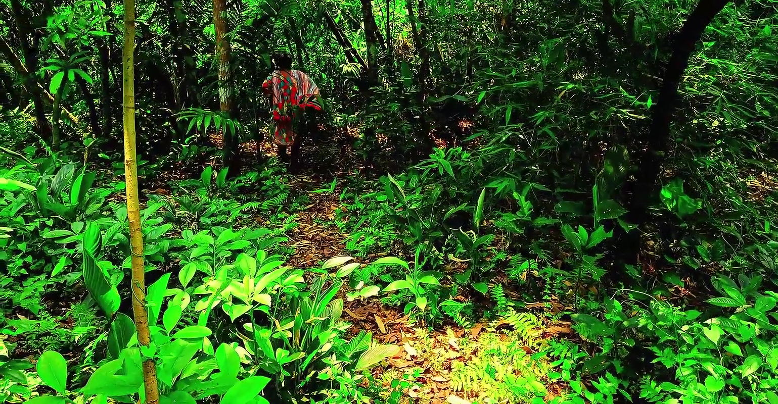 Fuckd and sexy talk in the jungle with the neighbor