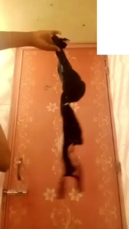 VID-20181228-WA00018