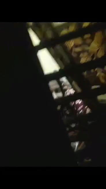 VID-20181228-WA00059