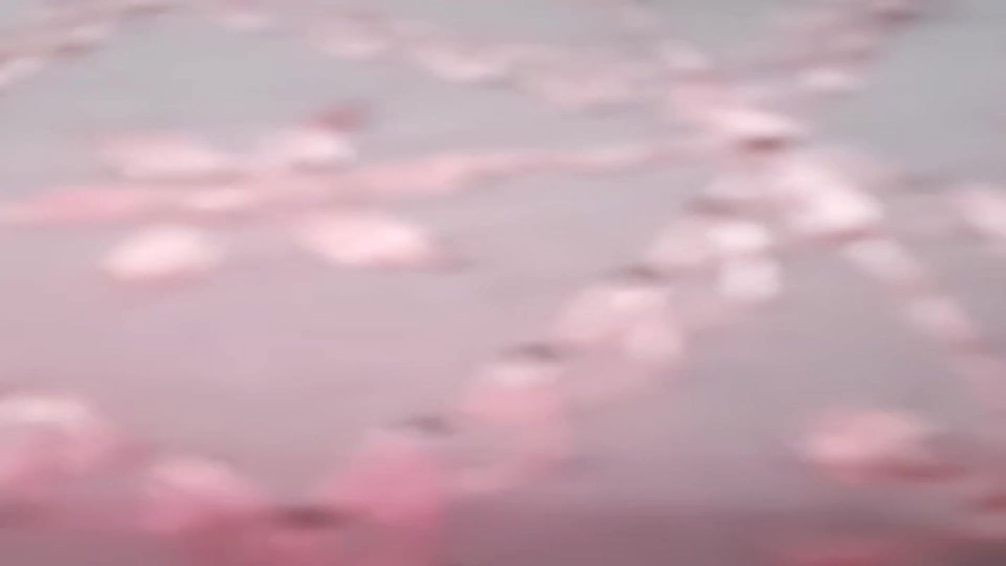 Anamika_24 cam collection -4