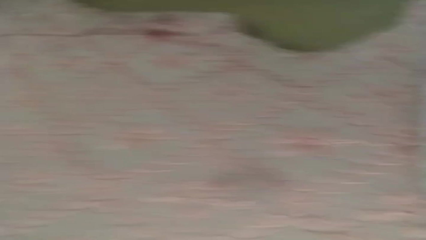 Anamika_24 cam collection -16