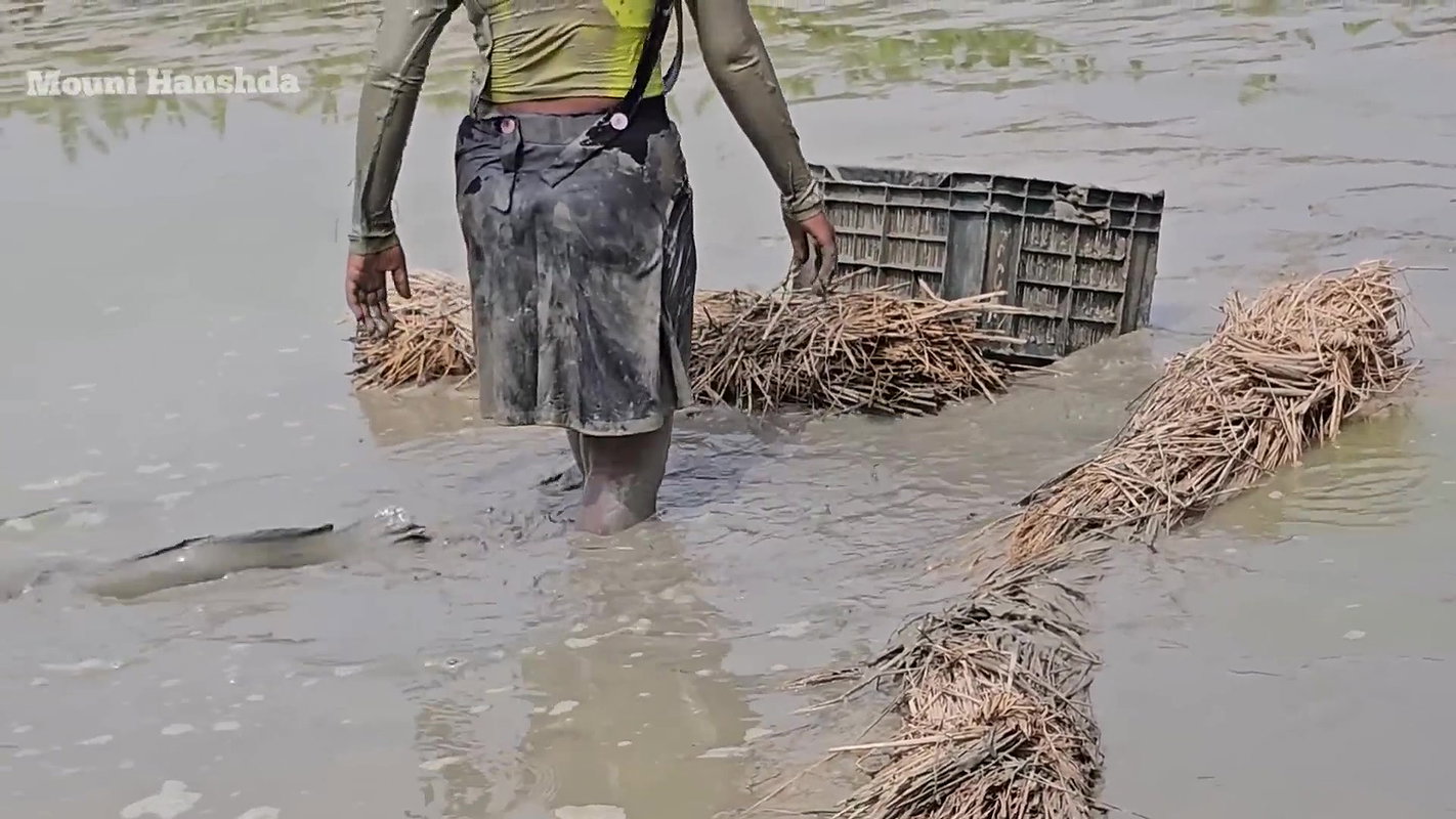 Amazing Country girl Fishing in Mud-