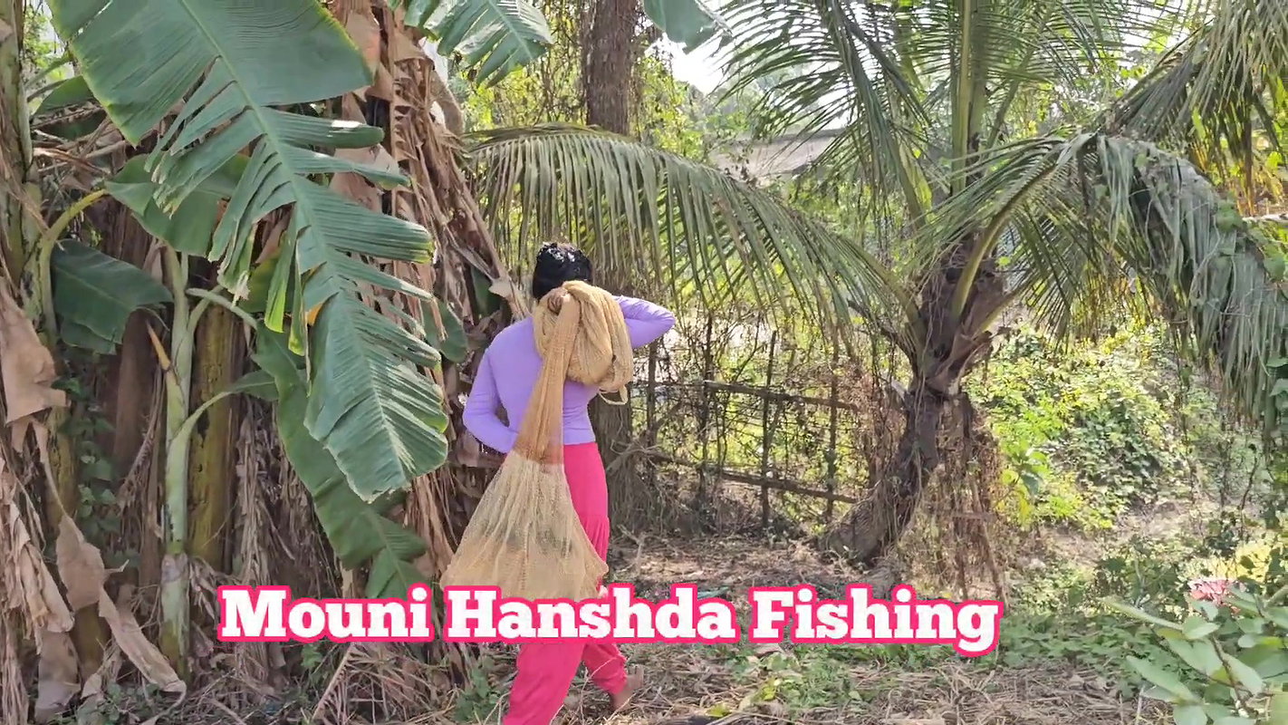 Amazing Mouni Hanshda Net fishing in Village pond