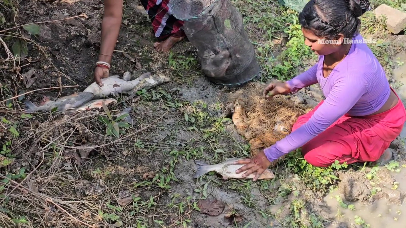 Amazing Mouni Hanshda Net fishing in Village pond