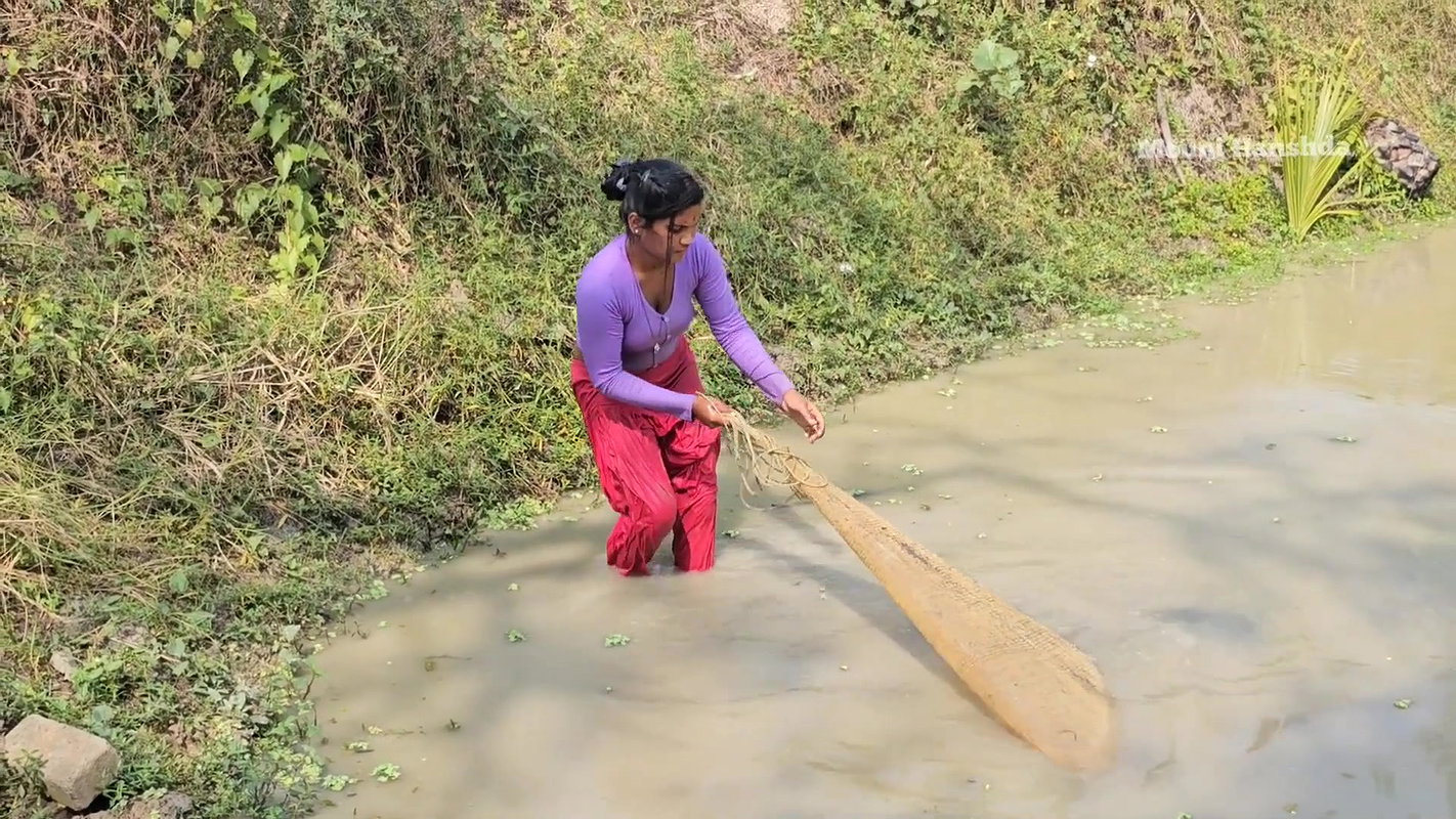 Amazing Mouni Hanshda Net fishing in Village pond