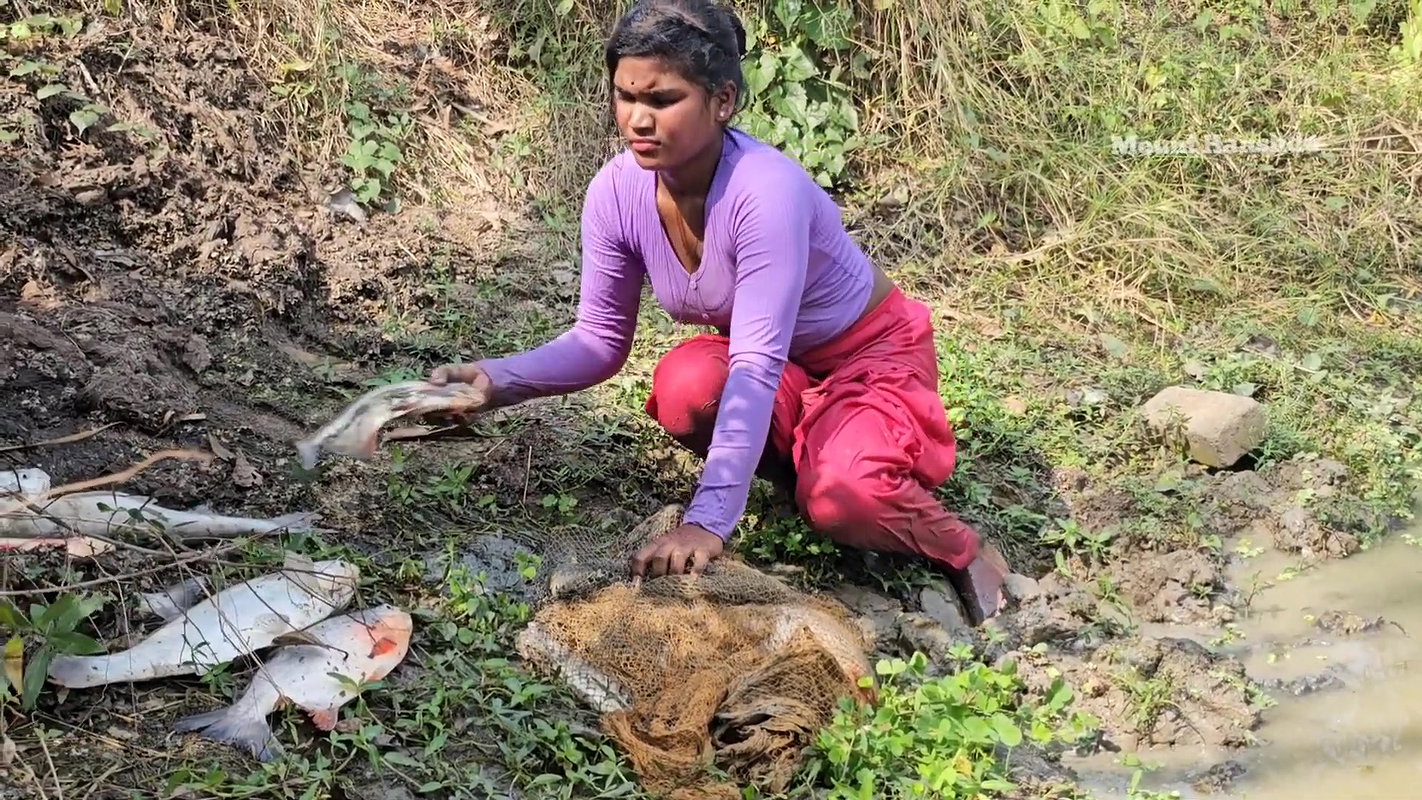 Amazing Mouni Hanshda Net fishing in Village pond