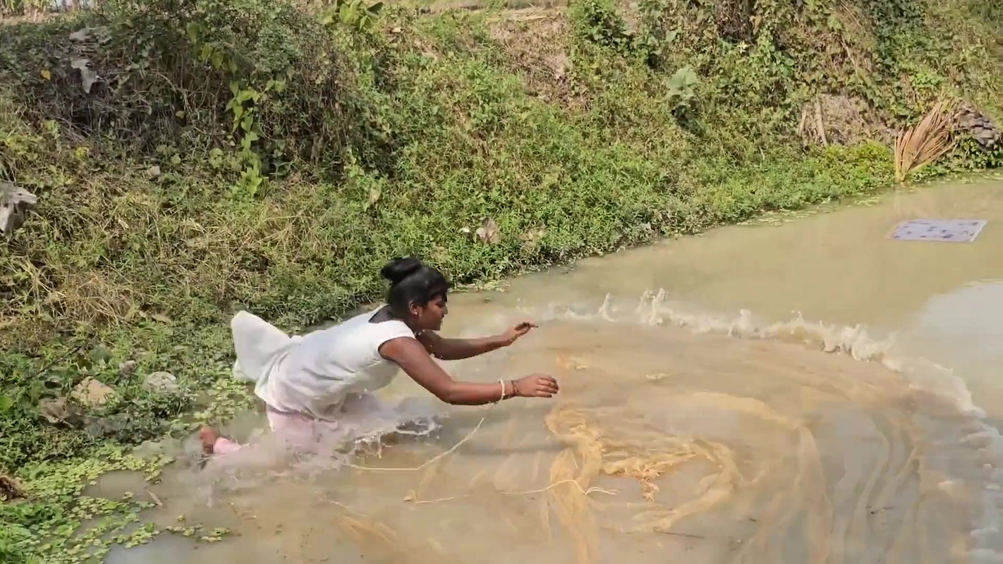 Amazing Mouni Net Fishing in Mud Water