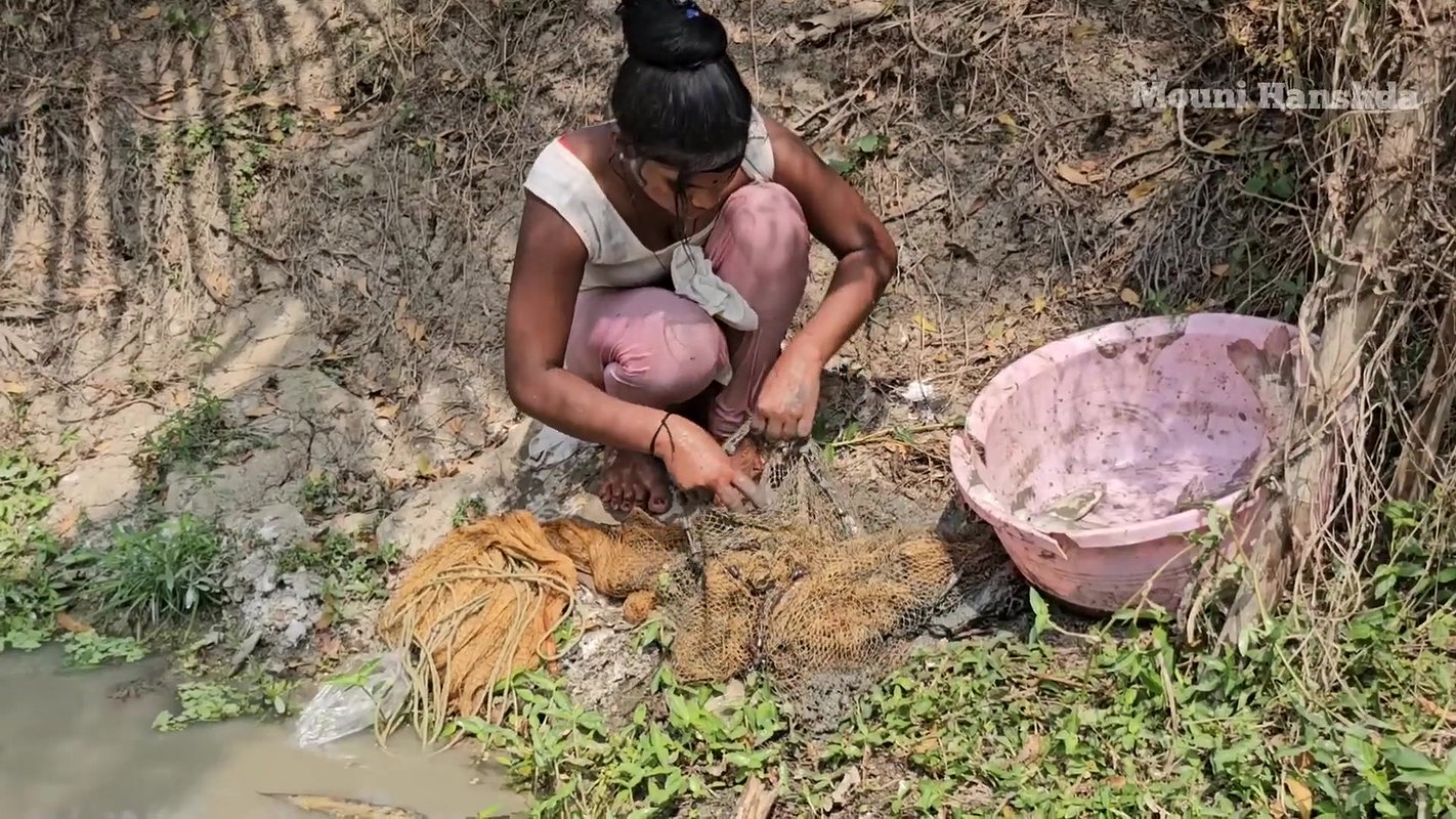 Amazing Mouni Net Fishing in Mud Water