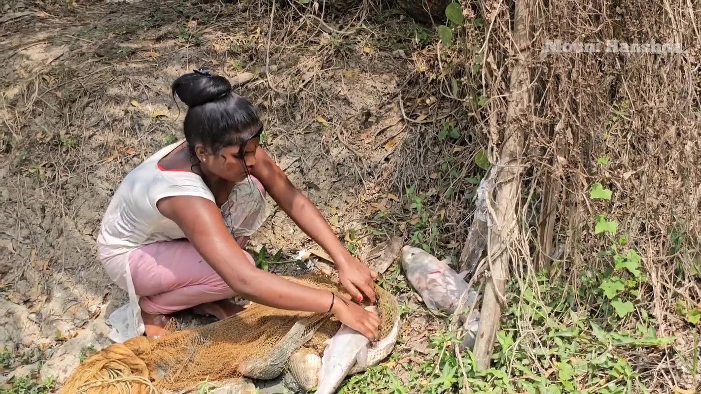 Amazing Mouni Net Fishing in Mud Water
