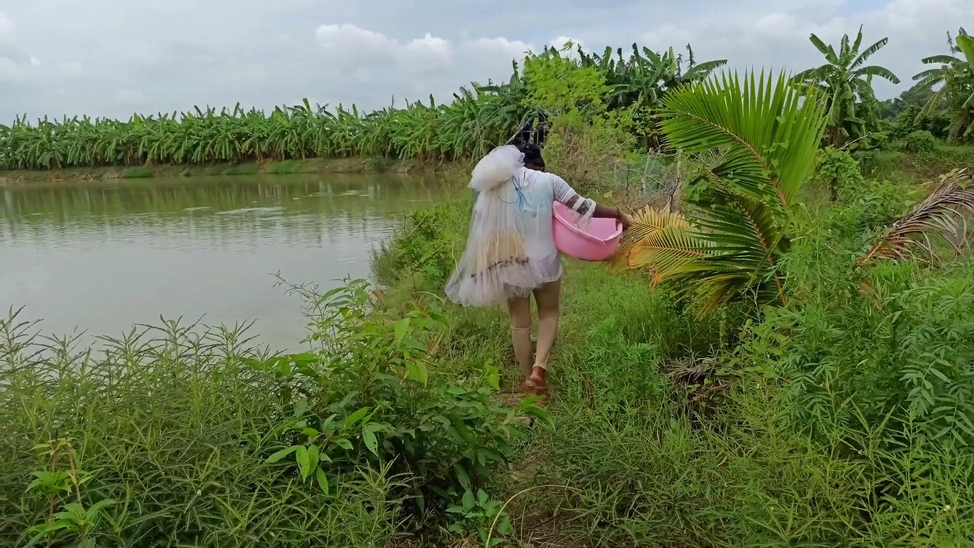 Amazing Mouni Net Fishing Piranha Fish