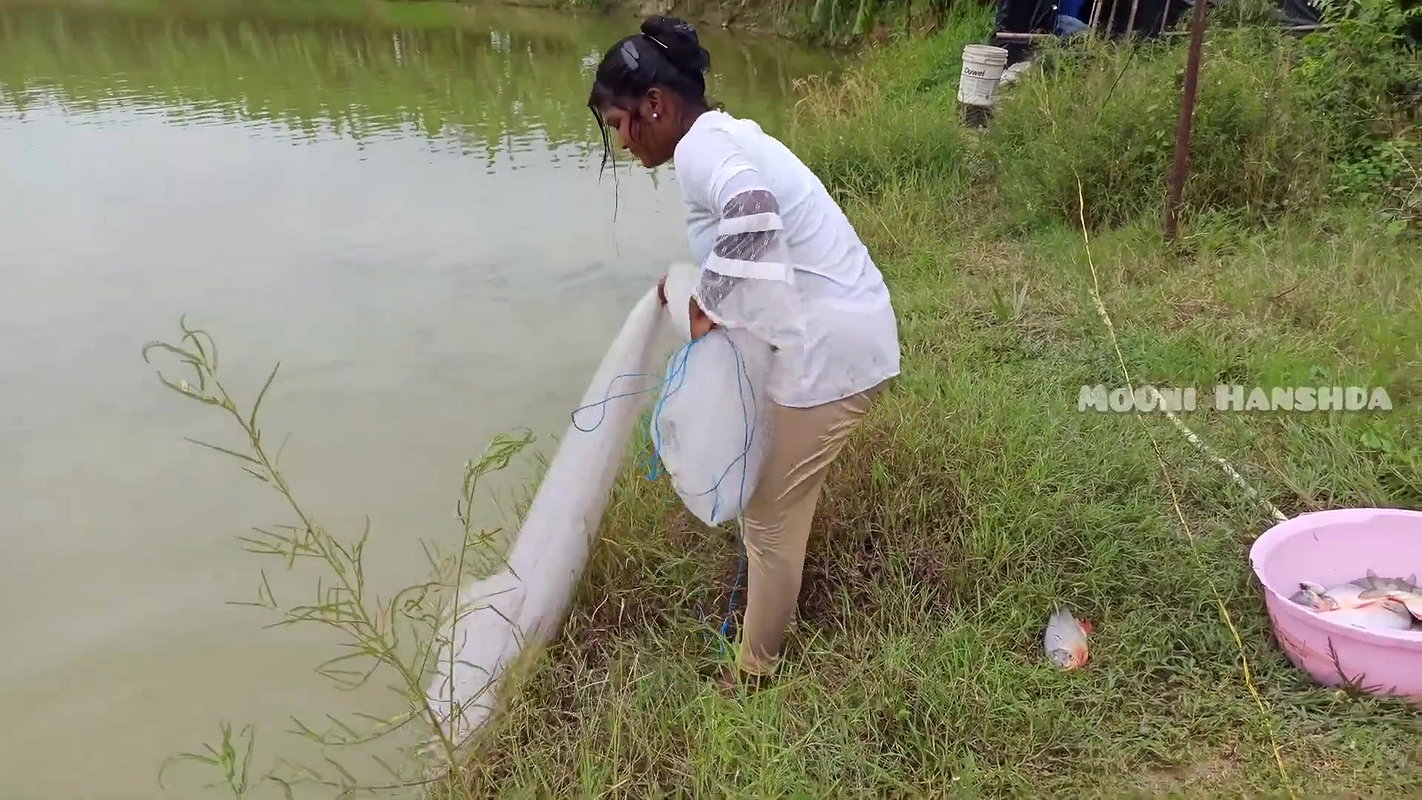 Amazing Mouni Net Fishing Piranha Fish