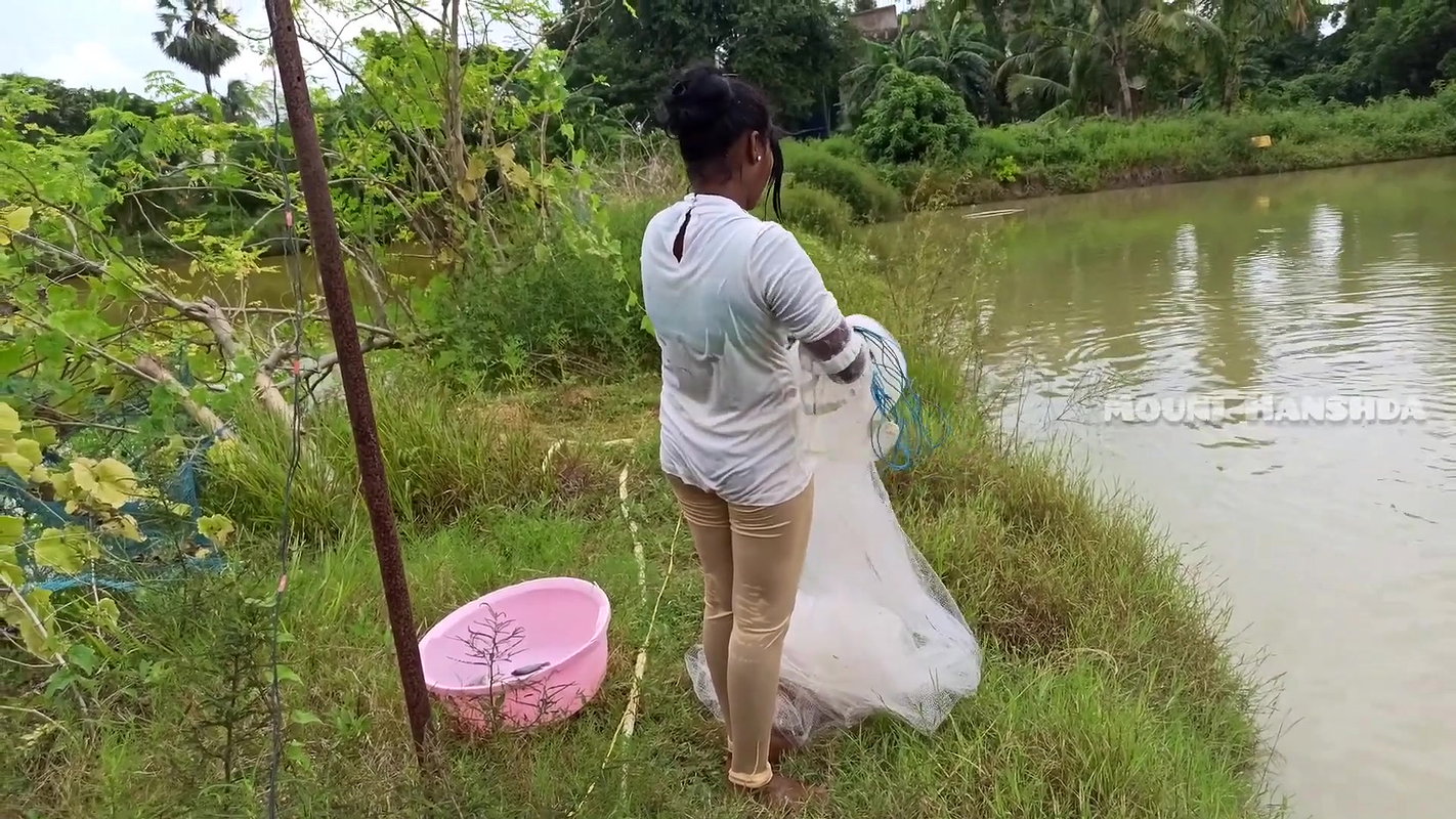 Amazing Mouni Net Fishing Piranha Fish