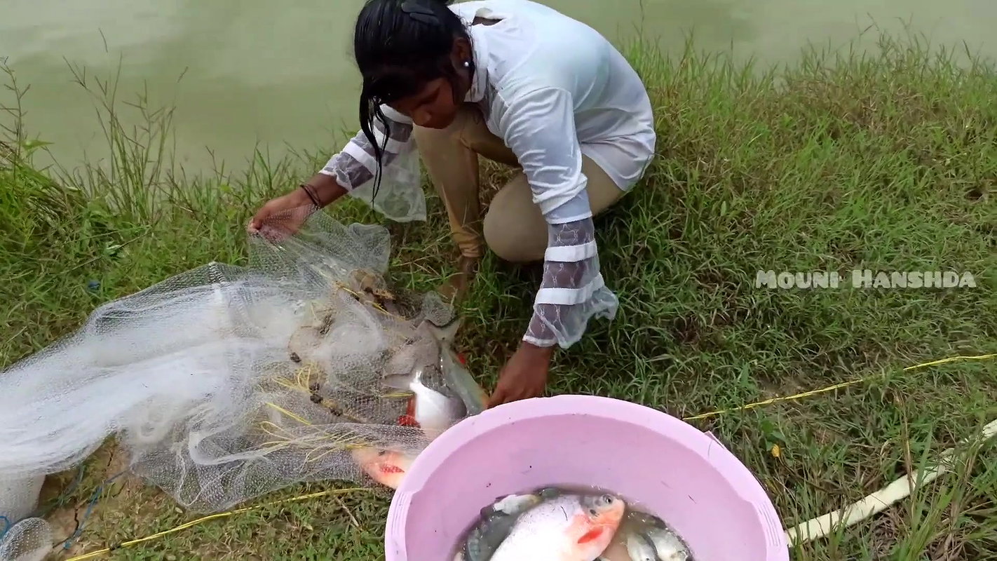 Amazing Mouni Net Fishing Piranha Fish