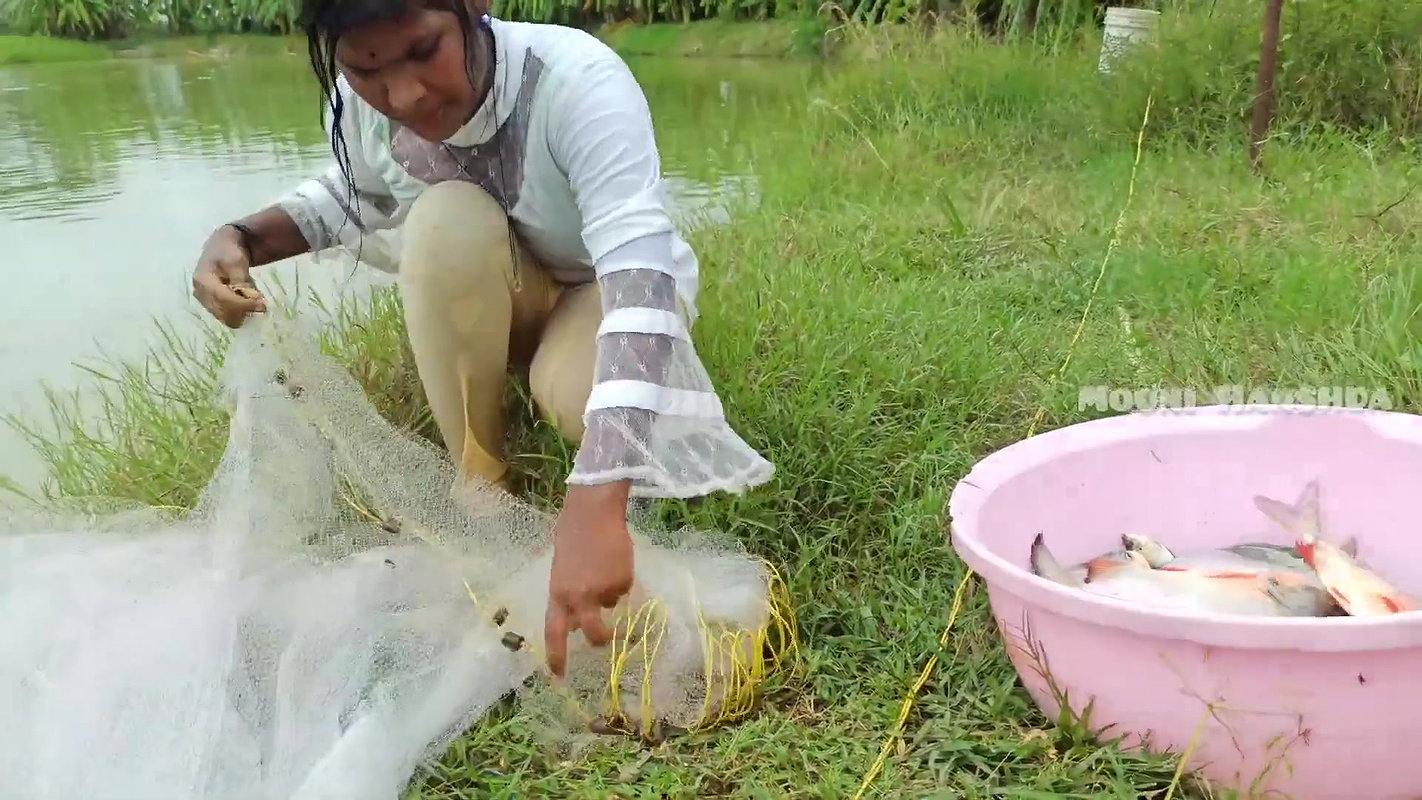 Amazing Mouni Net Fishing Piranha Fish