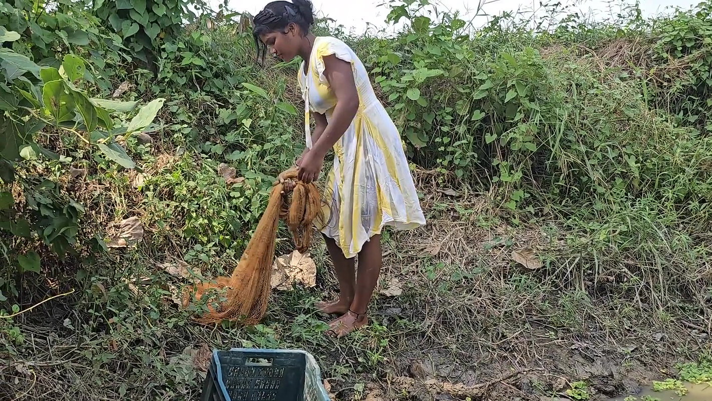 Amazing Net Fishing in Mud Water-da