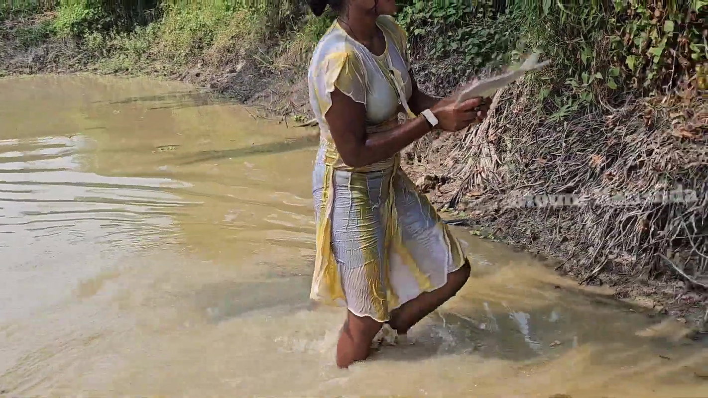 Amazing Net Fishing in Mud Water-da