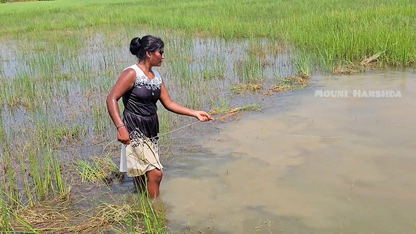 Amazing Net Fishing in Village  paddy field