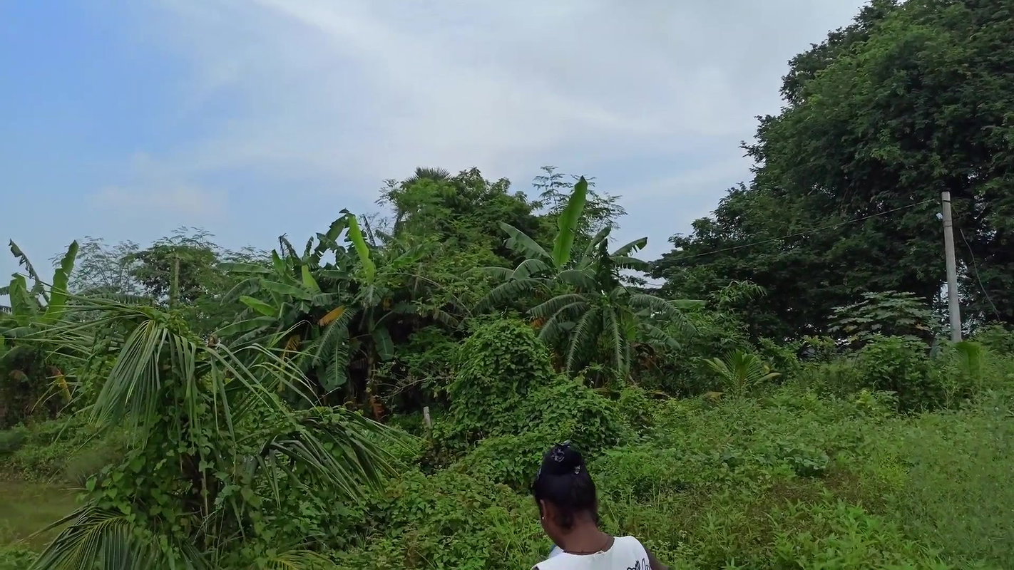 Amazing Net Fishing in village pond-