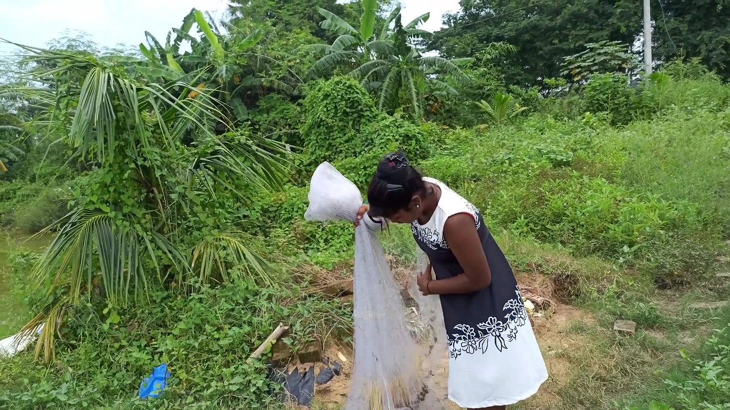 Amazing Net Fishing in village pond-