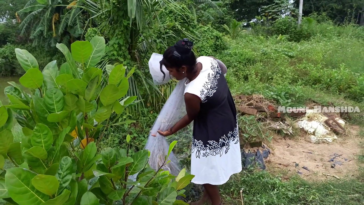 Amazing Net Fishing in village pond-