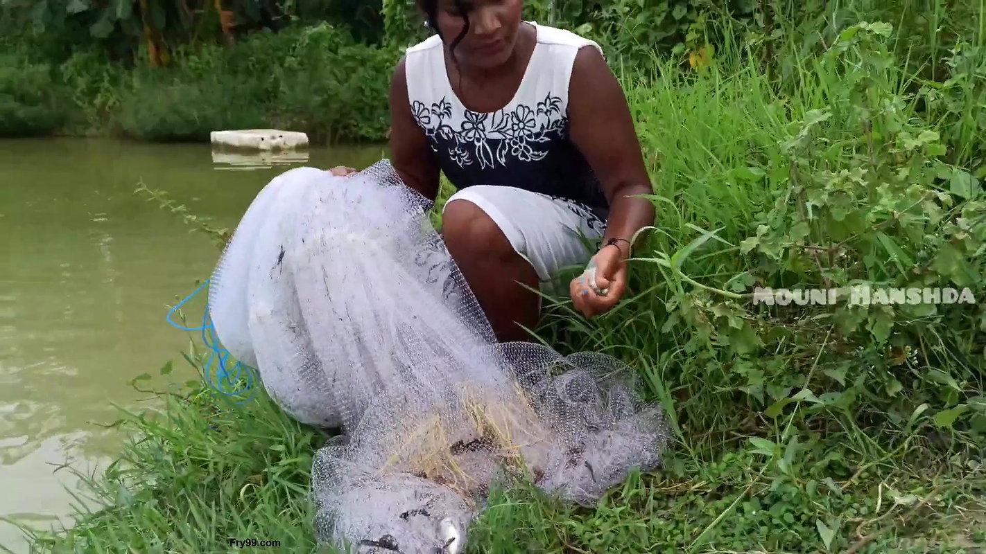 Amazing Net Fishing in village pond-