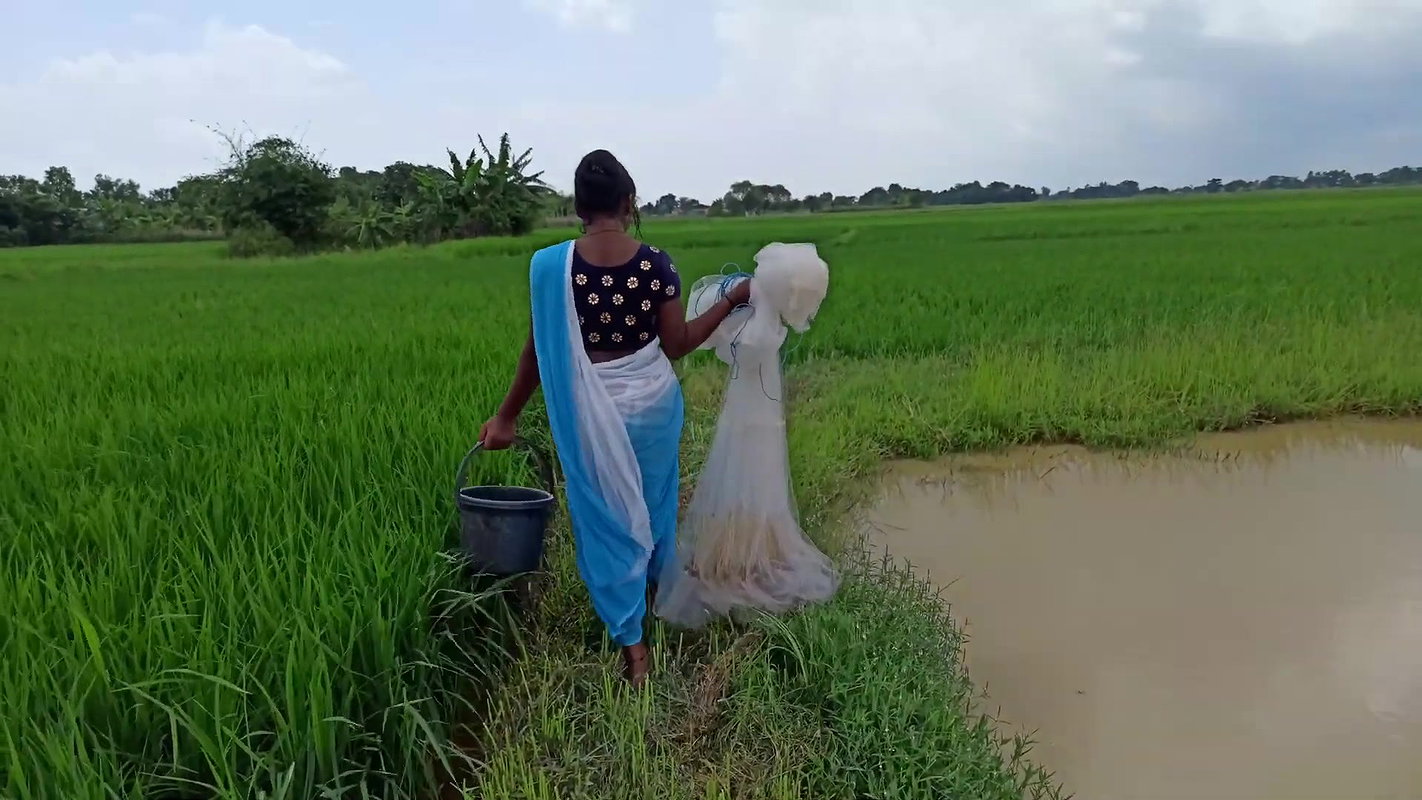 Amazing Net fishing video  Mouni Handhda