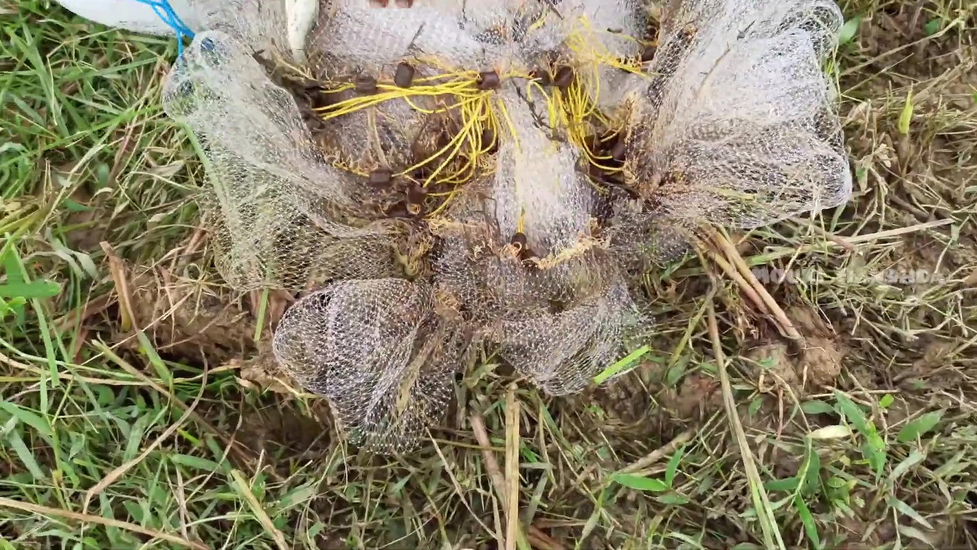 Amazing Net fishing video  Mouni Handhda