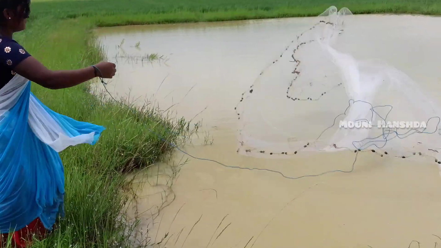 Amazing Net fishing video  Mouni Handhda