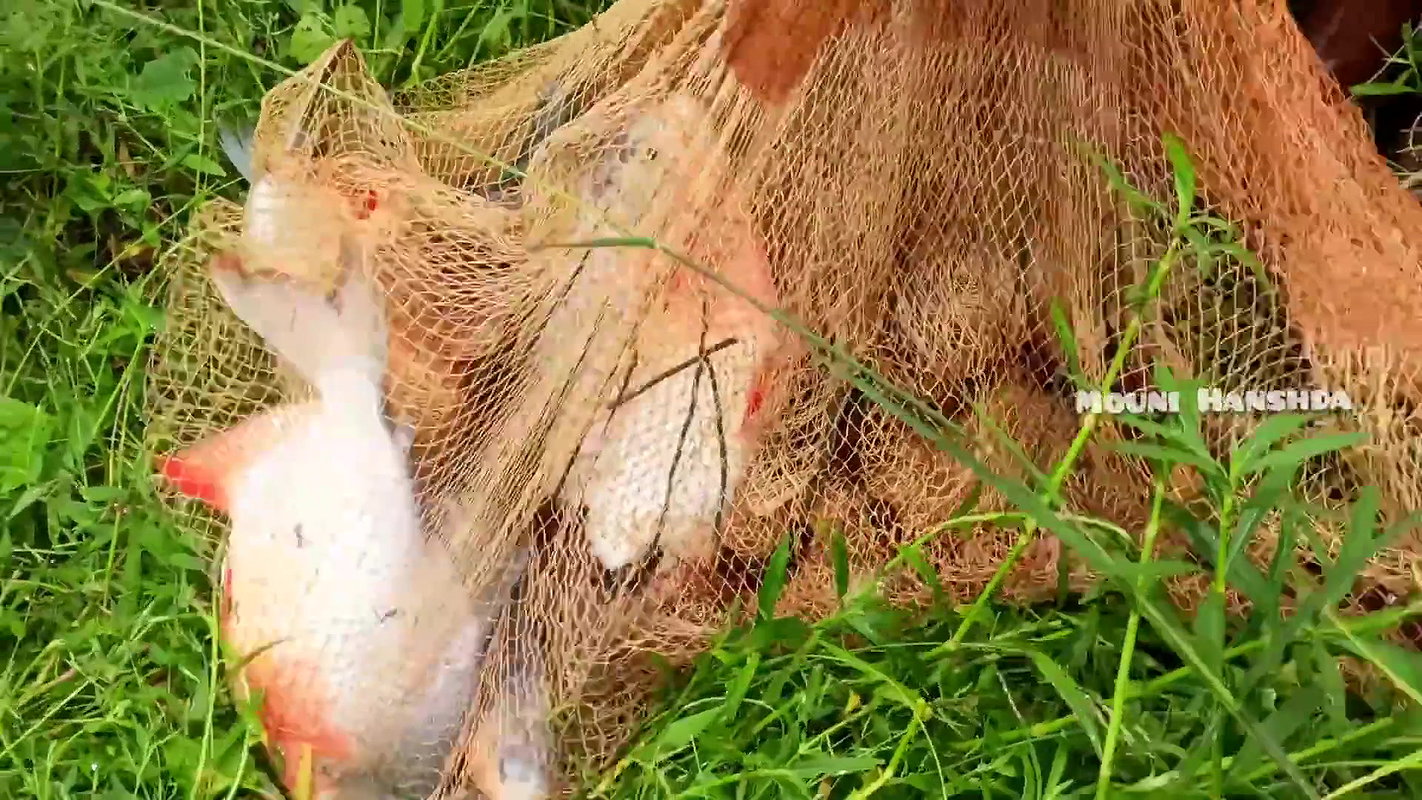 Amazing village Girl Fishing video-d