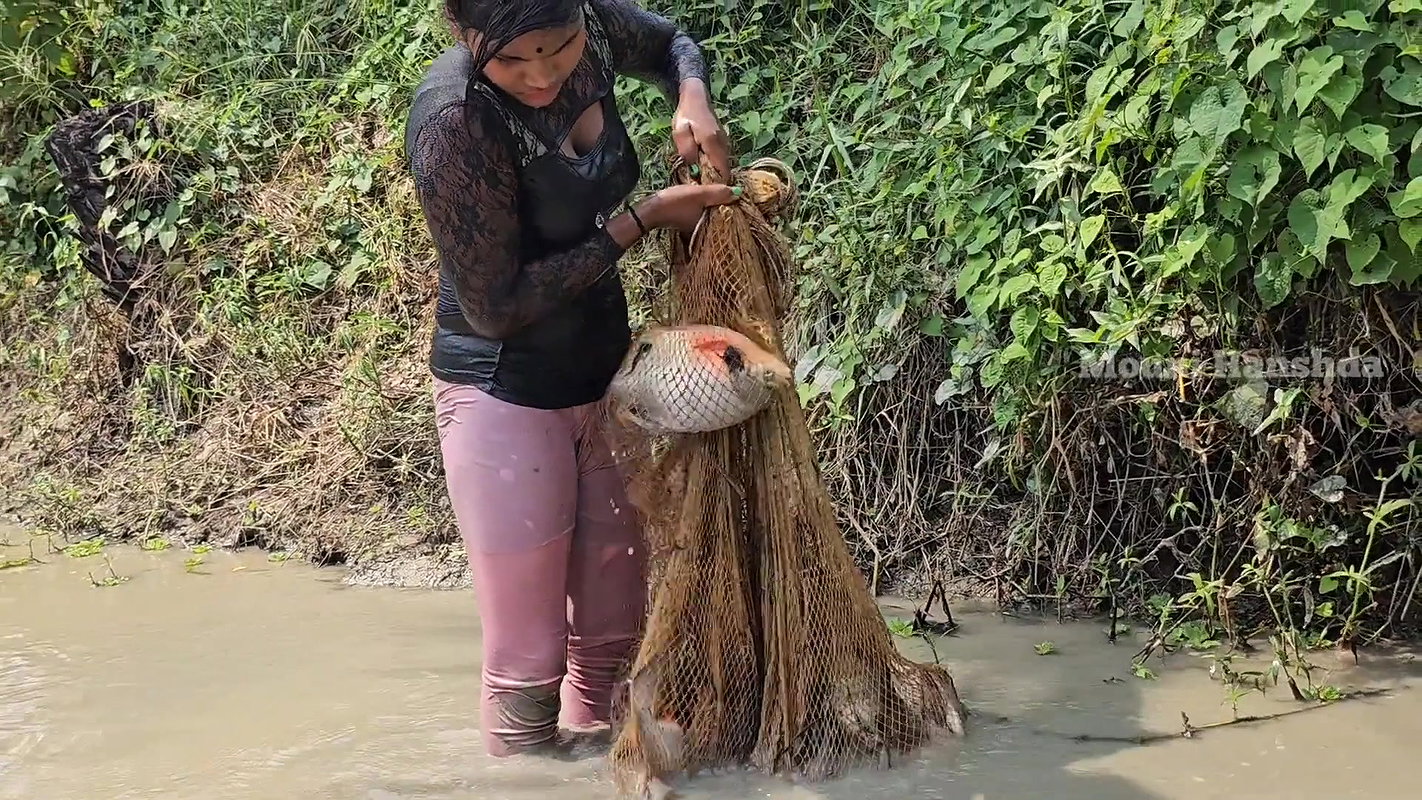 Amazing Village girl Net Fishing in Village pond