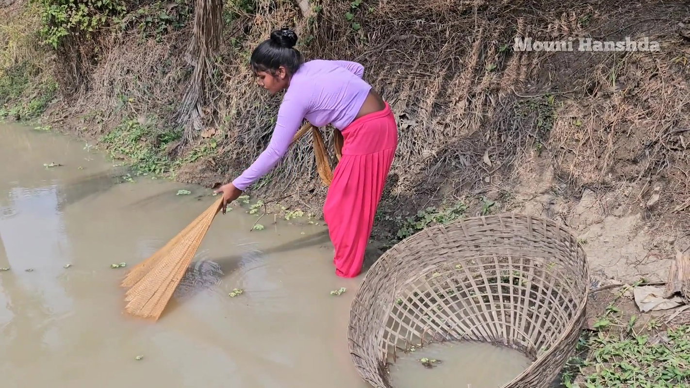 Amazing Village girl net fishing video