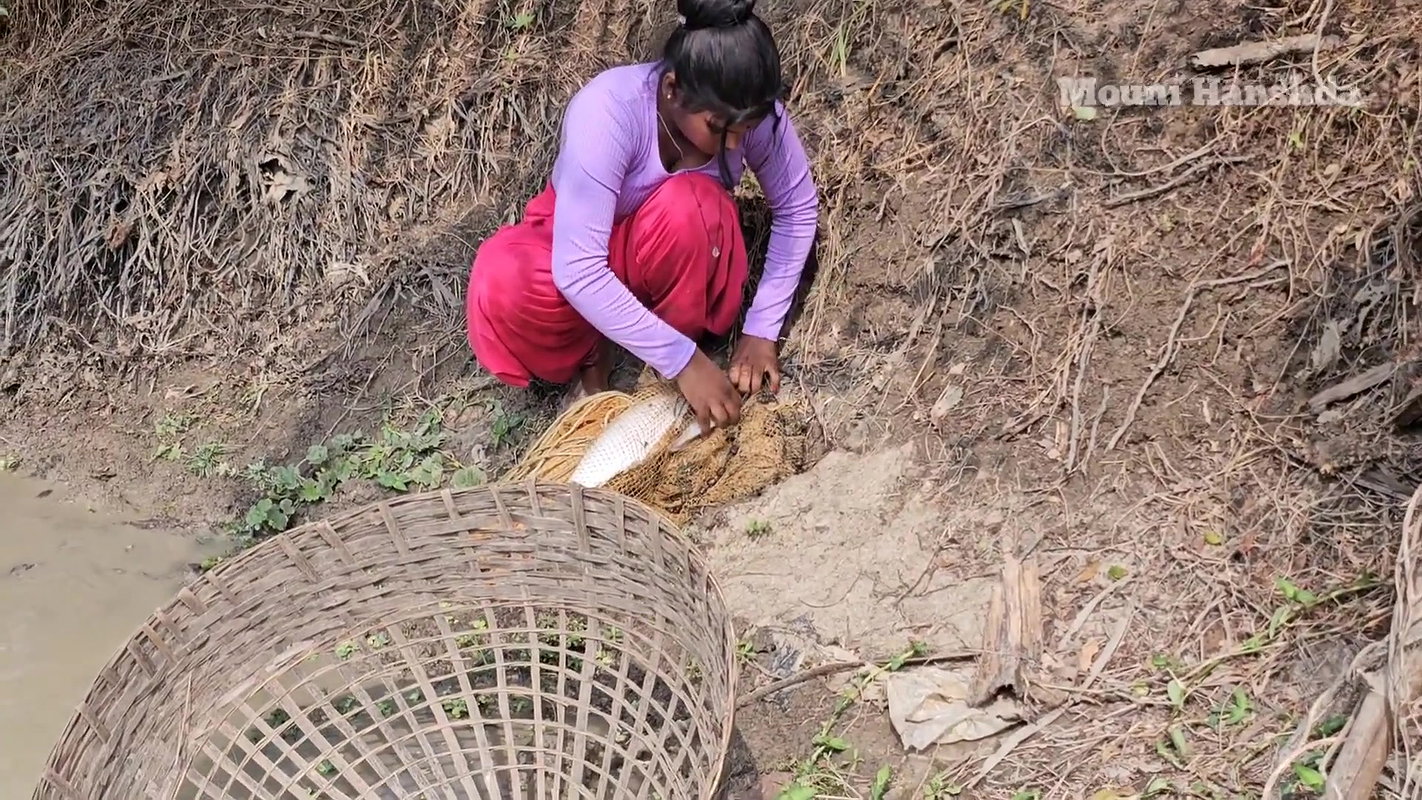 Amazing Village girl net fishing video