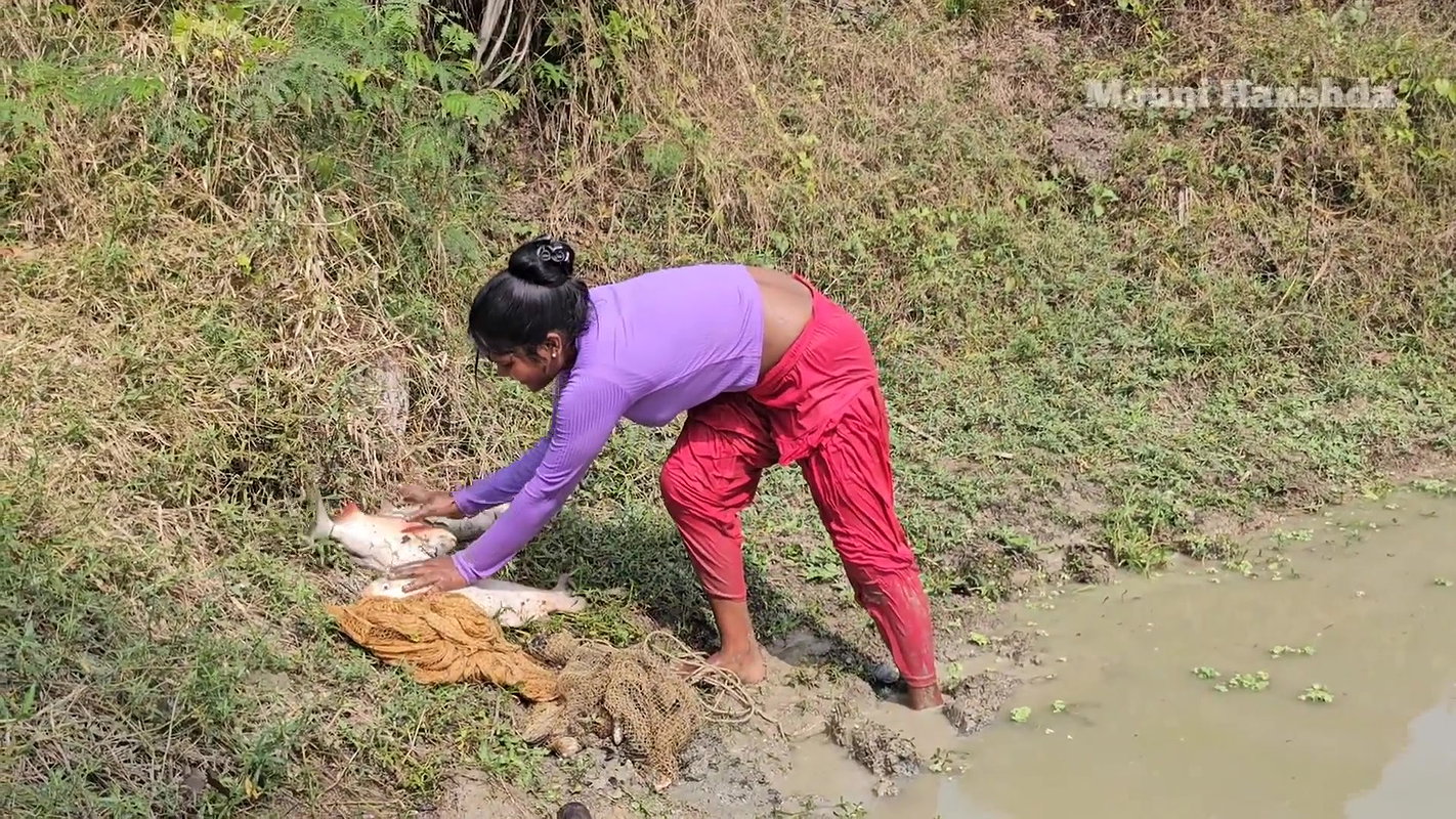Amazing Village girl net fishing video