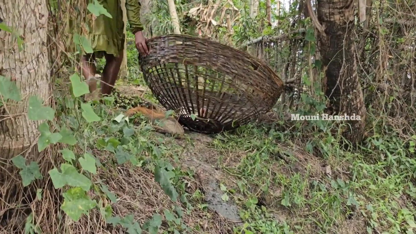 Amazing Village Girl new Big Carp hunting in Villa
