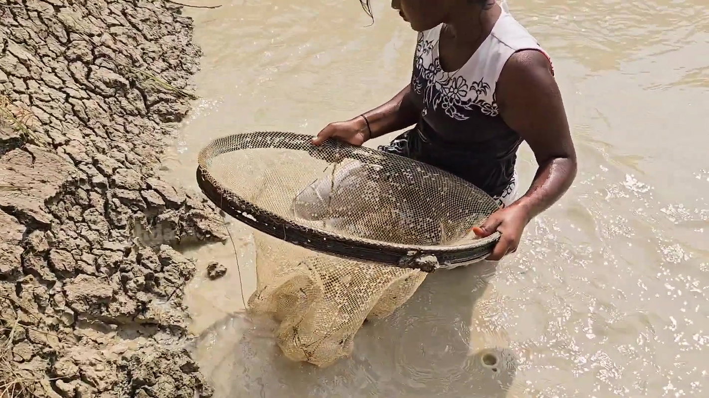Amazing Village girl new Fishing video
