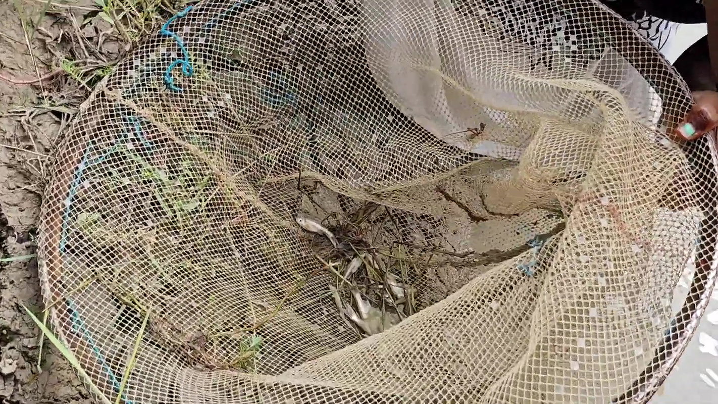 Amazing Village girl new Fishing video