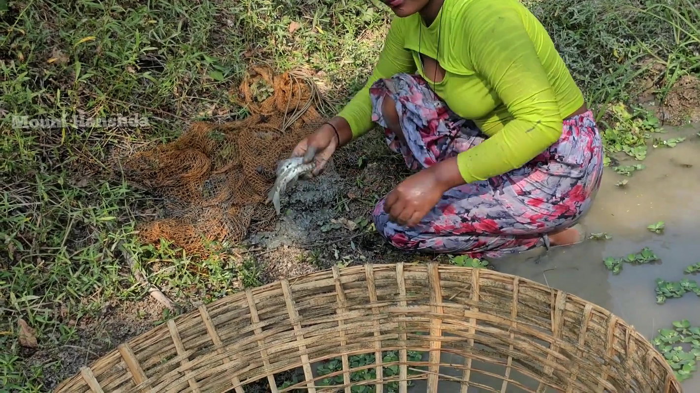 Amazing Village girl new Net  Fishing video