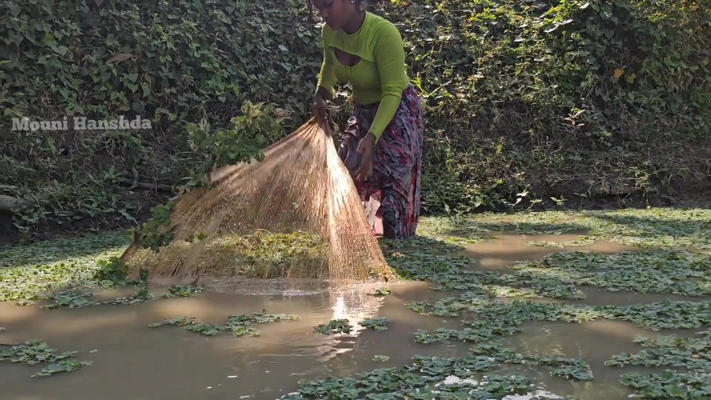 Amazing Village girl new Net  Fishing video