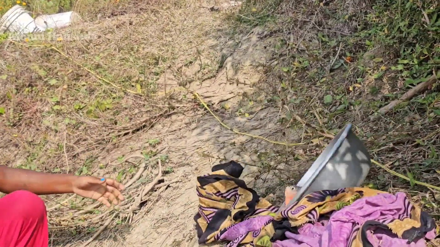 Amazing Village girl new net Fishing video