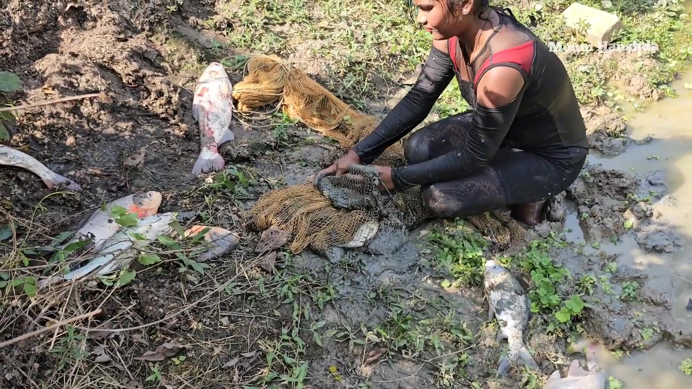 Amazing Village girl new net fishing video